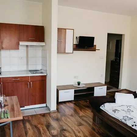 Apartments-rooms Vogrinec 3*