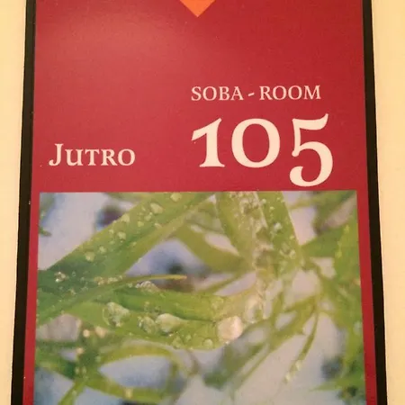 Apartments-rooms Vogrinec 普图伊