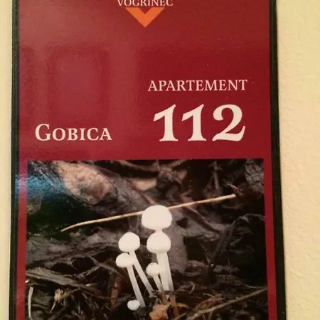 Apartments-rooms Vogrinec 招待所 3*