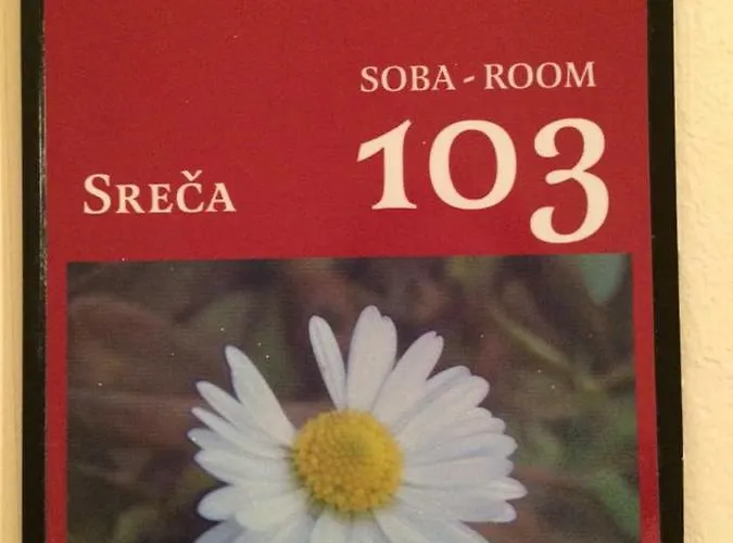 Apartments-rooms Vogrinec Ptuj